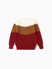 Family Matching Long Sleeves Colorblock Sweater