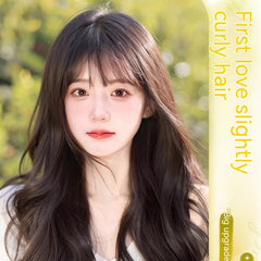 Peluca de pelo largo, peluca de cabeza completa, estilo peluca de pelo rizado, peluca sin costuras, funda