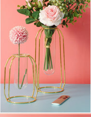 Flat Iron Flower Vase with Glass Test Tube Design