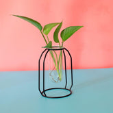 Flat Iron Flower Vase with Glass Test Tube Design