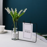 Jarrón de hierro con tubo de ensayo de vidrio y pinza