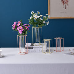 Jarrón de flores de hierro con diseño de tubo de ensayo de vidrio