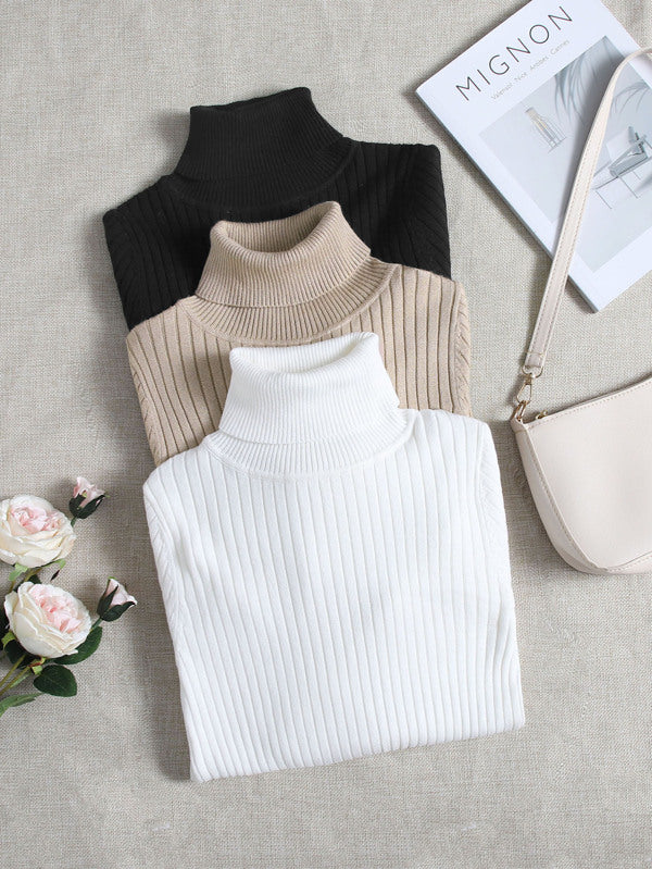 3 Pieces Turtle Collar Knit Sweater