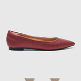 Pointed Toe Ballet Flats