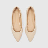 Pointed Toe Ballet Flats