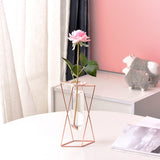 Twisting Iron Flower Vase with Glass Test Tube Design