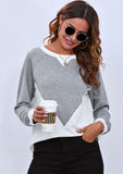Color Block Raglan Sleeve Sweater