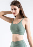 Double Strap Scoop Low Back Sports Bra